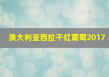 澳大利亚西拉干红葡萄2017