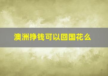 澳洲挣钱可以回国花么