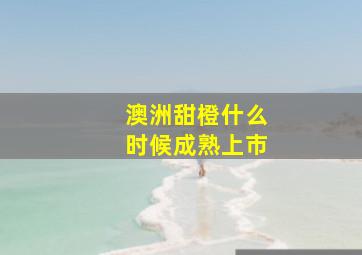 澳洲甜橙什么时候成熟上市