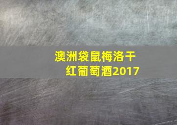 澳洲袋鼠梅洛干红葡萄酒2017