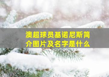 澳超球员基诺尼斯简介图片及名字是什么