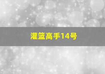 灌篮高手14号