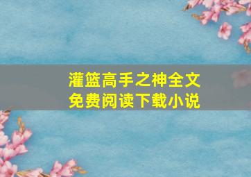 灌篮高手之神全文免费阅读下载小说