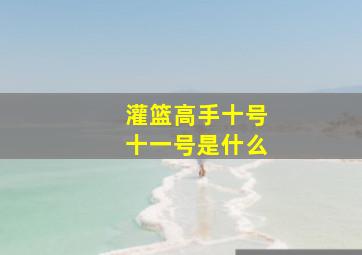 灌篮高手十号十一号是什么