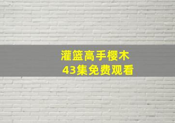 灌篮高手樱木43集免费观看