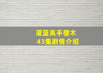 灌篮高手樱木43集剧情介绍