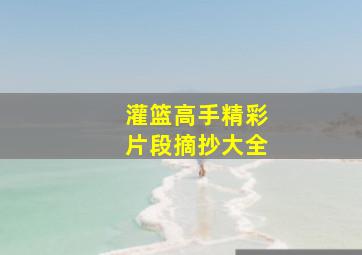 灌篮高手精彩片段摘抄大全