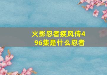 火影忍者疾风传496集是什么忍者