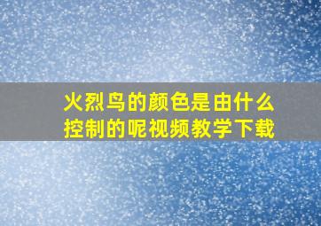 火烈鸟的颜色是由什么控制的呢视频教学下载