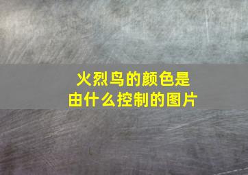 火烈鸟的颜色是由什么控制的图片