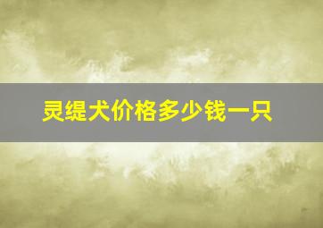 灵缇犬价格多少钱一只