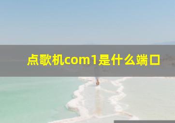 点歌机com1是什么端口