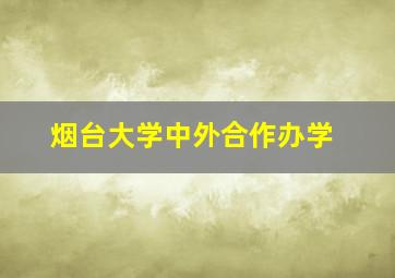 烟台大学中外合作办学