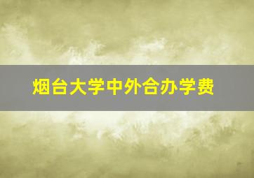 烟台大学中外合办学费