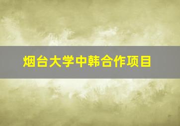 烟台大学中韩合作项目