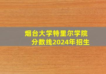 烟台大学特里尔学院分数线2024年招生