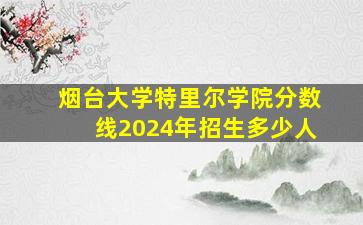 烟台大学特里尔学院分数线2024年招生多少人