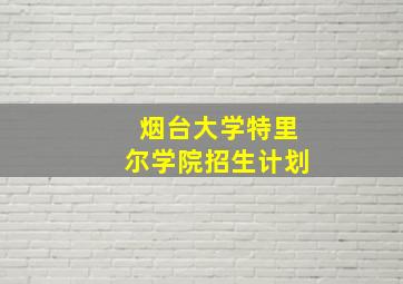 烟台大学特里尔学院招生计划