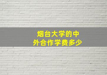 烟台大学的中外合作学费多少