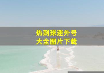 热刺球迷外号大全图片下载