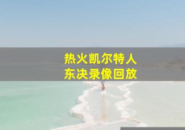 热火凯尔特人东决录像回放