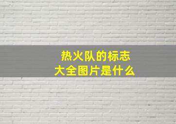 热火队的标志大全图片是什么