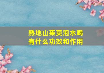 熟地山茱萸泡水喝有什么功效和作用