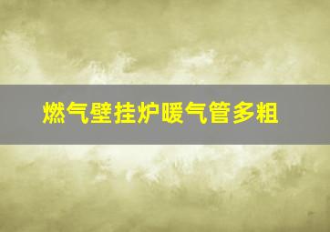 燃气壁挂炉暖气管多粗