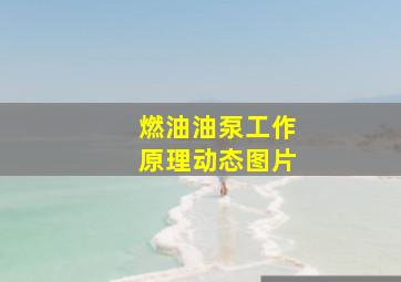 燃油油泵工作原理动态图片