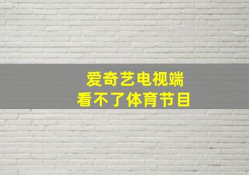 爱奇艺电视端看不了体育节目