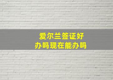 爱尔兰签证好办吗现在能办吗