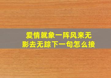 爱情就象一阵风来无影去无踪下一句怎么接