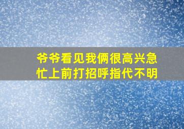 爷爷看见我俩很高兴急忙上前打招呼指代不明