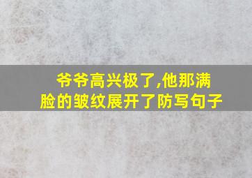 爷爷高兴极了,他那满脸的皱纹展开了防写句子