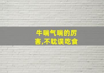 牛喘气喘的厉害,不耽误吃食