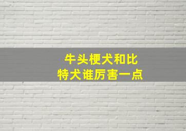 牛头梗犬和比特犬谁厉害一点