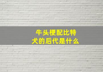 牛头梗配比特犬的后代是什么