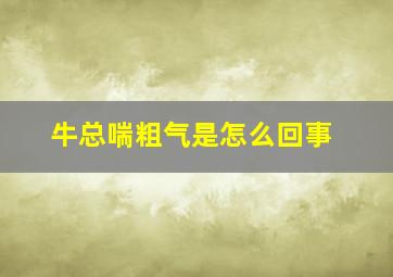 牛总喘粗气是怎么回事