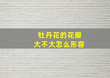 牡丹花的花瓣大不大怎么形容