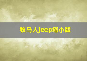 牧马人jeep缩小版