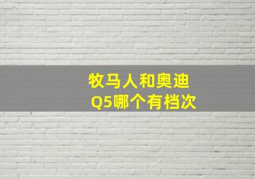 牧马人和奥迪Q5哪个有档次