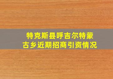 特克斯县呼吉尔特蒙古乡近期招商引资情况