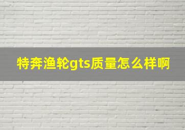 特奔渔轮gts质量怎么样啊