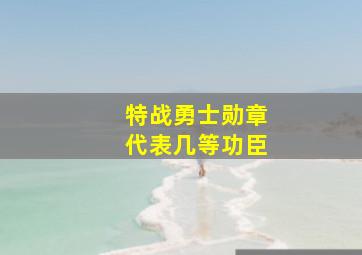 特战勇士勋章代表几等功臣