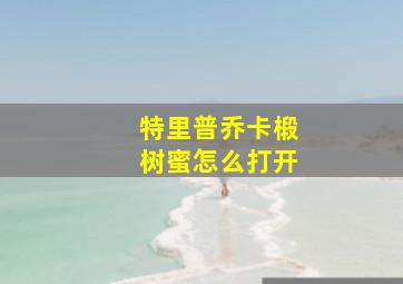 特里普乔卡椴树蜜怎么打开