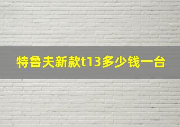 特鲁夫新款t13多少钱一台