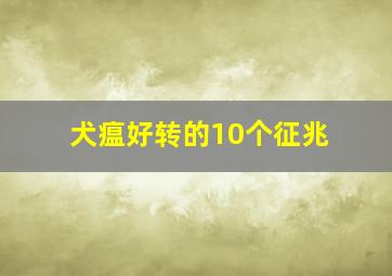 犬瘟好转的10个征兆