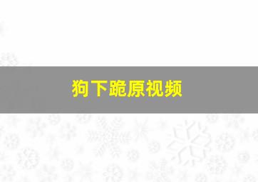 狗下跪原视频