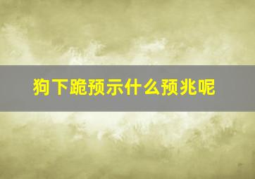 狗下跪预示什么预兆呢