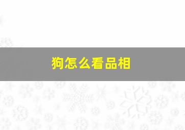 狗怎么看品相